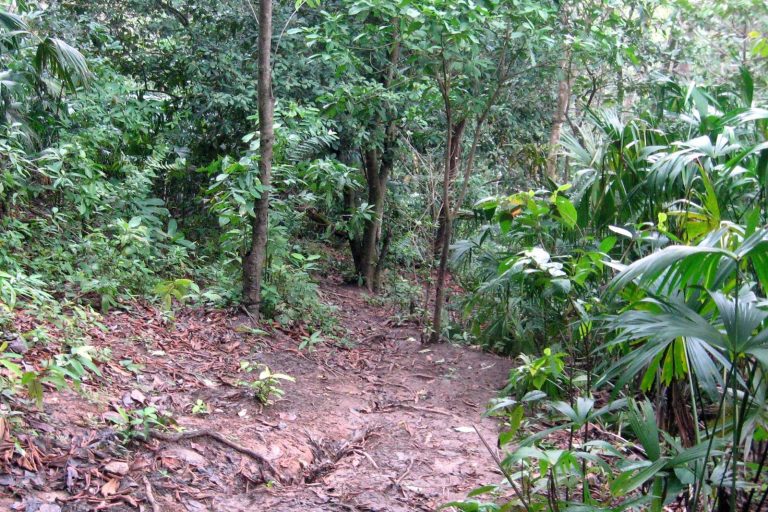 Ten Migrants Drown in Deadly Darién Gap River Crossing