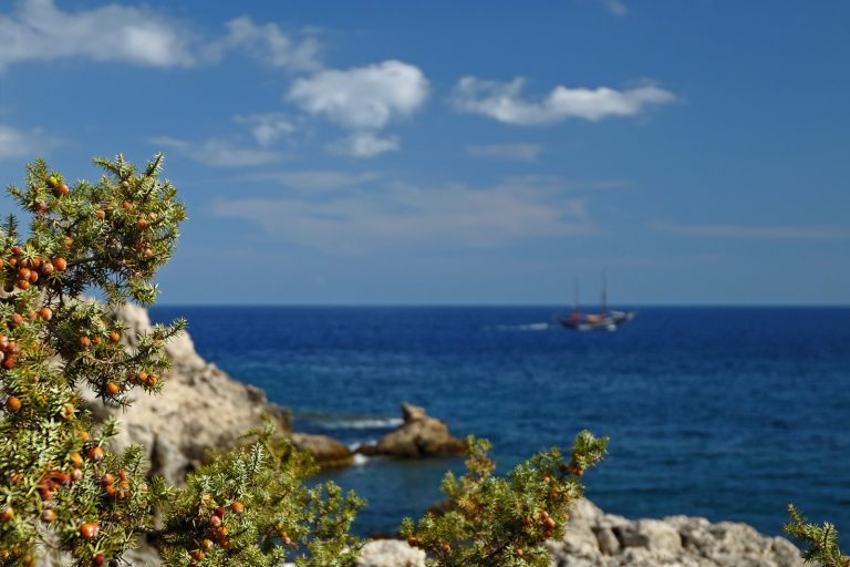 Speedboat Capsizes Off Rhodes, 8 Migrants Killed