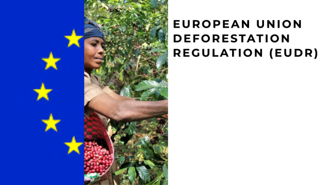 Eu Deforestation Regulation Coffee Beans