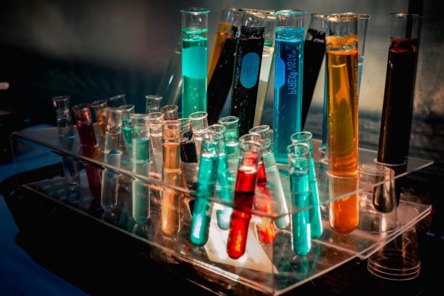 Researchers in a lab examining engineered T-cells under a microscope for solid tumor treatment