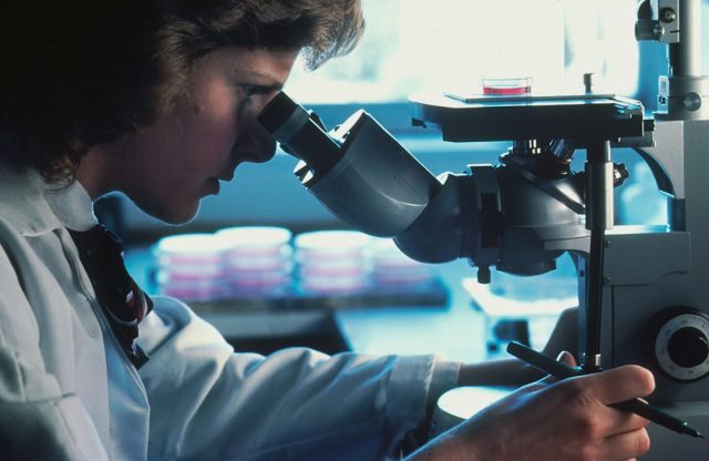 First U.S. Mpox Case Confirmed in Boston, Matching European Outbreak Strain A healthcare worker in protective gear examines a patient at a Boston clinic amid the mpox outbreak response.