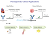 Ponsegromab shows promise in phase 2 trial for cancer cachexia Ponsegromab Pfizer Cancer Cachexia Treatment