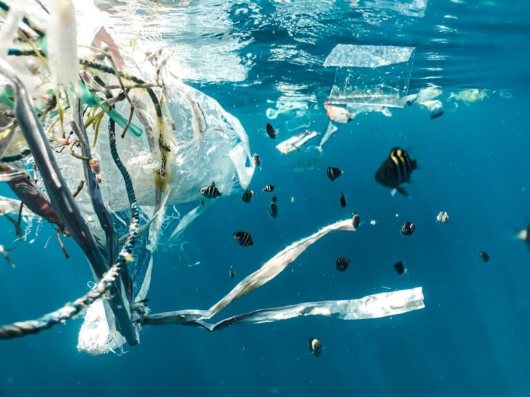 Thailand Bans Plastic Bags After Deaths of Deer and Dugong