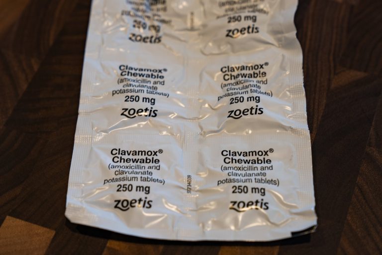 Zoetis Class Action Lawsuit Nears Lead Plaintiff Filing Deadline