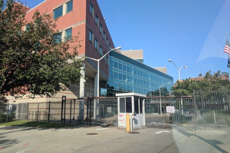 FDA Questions Led to Zoetis Securities Fraud Class Action Lawsuit
