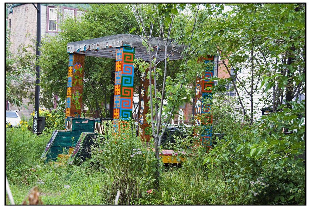 Chicago Residents Transform Vacant Lots into Thriving Community Gardens