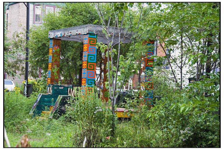 Chicago Residents Transform Vacant Lots into Thriving Community Gardens