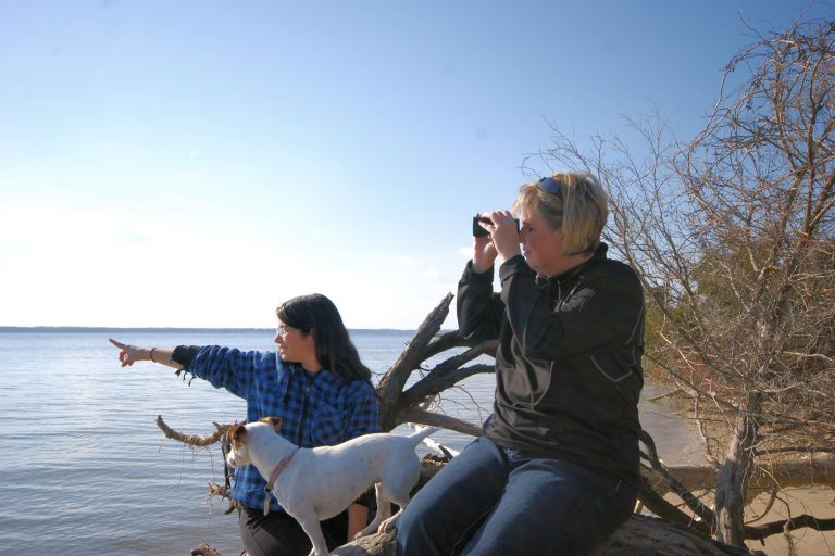What are the best months for bird watching?