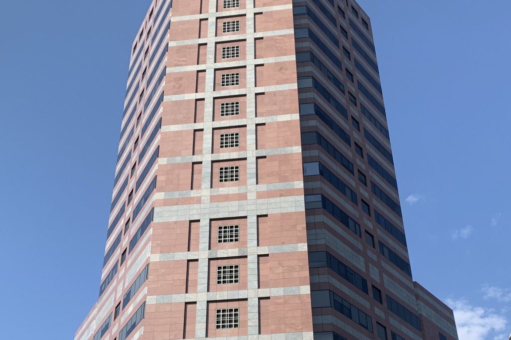 Federal Court Hears PicS N.V. Securities Fraud Lawsuit Over Misleading Statements