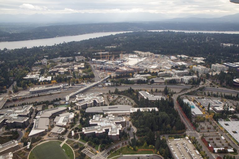 Microsoft Investors Gain Legal Path in Potential Microsoft Securities Fraud Case