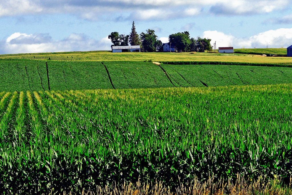 US Farm Exports Face Crisis After Tariffs and COVID-19