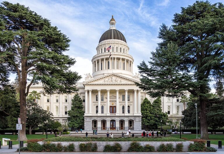 Journalist Sues California Over Law Banning Immigration Provider Info