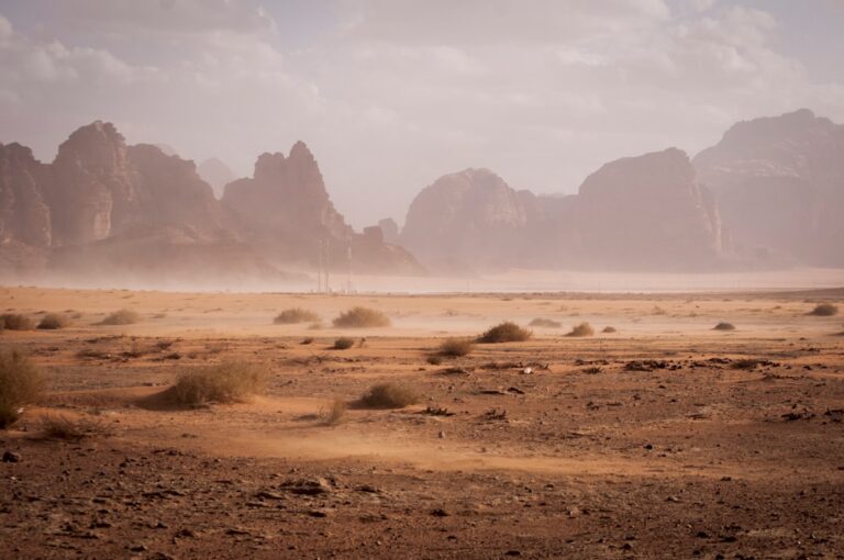 Tragedy Strikes Kufra Oasis on Migrant Route to Mediterranean
