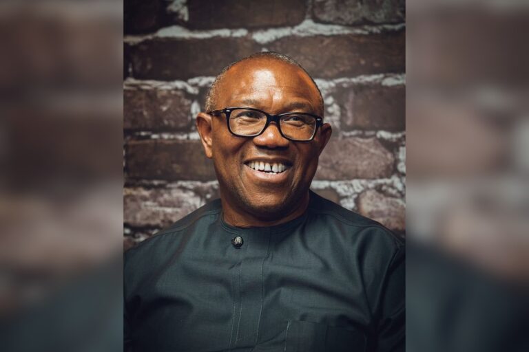 NDC leaders Obi, Dickson meet to plan appeal against court deregistration