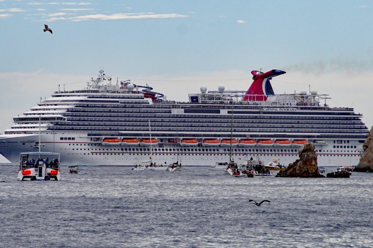 Passenger missing after going overboard on Carnival cruise ship