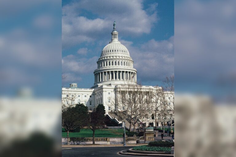 CBO Director Swagel Projects $870B in 2024 Interest Costs
