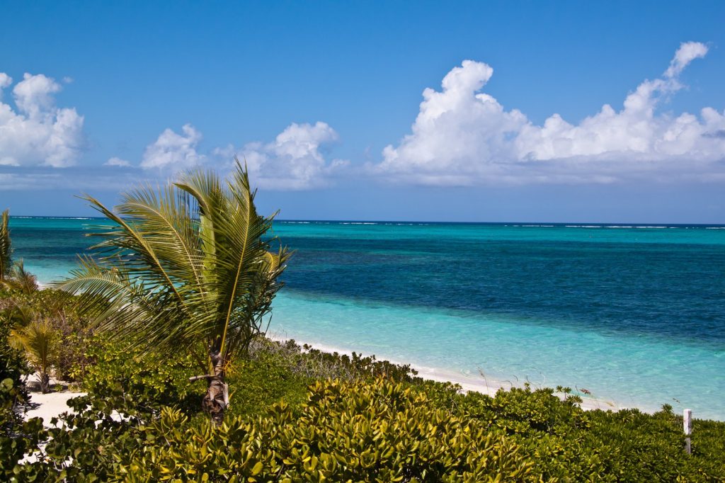 42 Warm and Sunny Family Winter Vacation Ideas in the US and Abroad