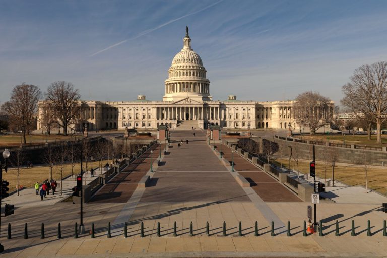 What are the US midterms? A simple guide